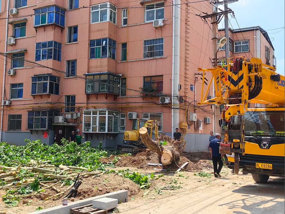 民生期盼有回应 旧区“新”生展欢颜 建设工程监理在旧城改造中的关键作用